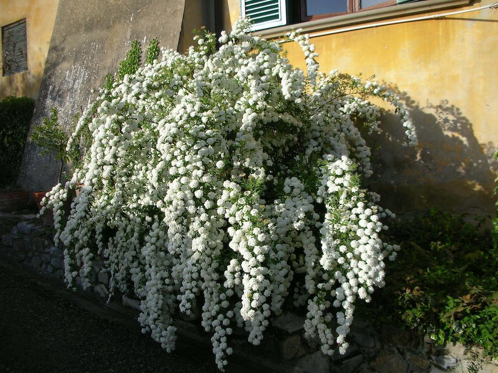 Locanda Giolica Прато Екстер'єр фото