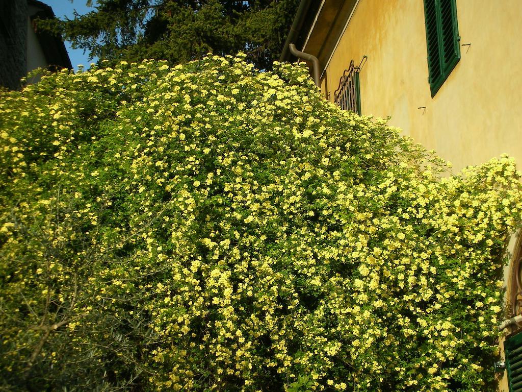 Locanda Giolica Прато Екстер'єр фото